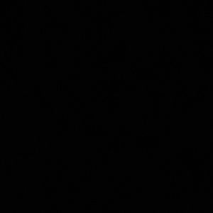 Meet your Posher, Michel